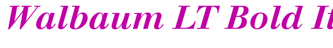 Walbaum LT Bold Italic